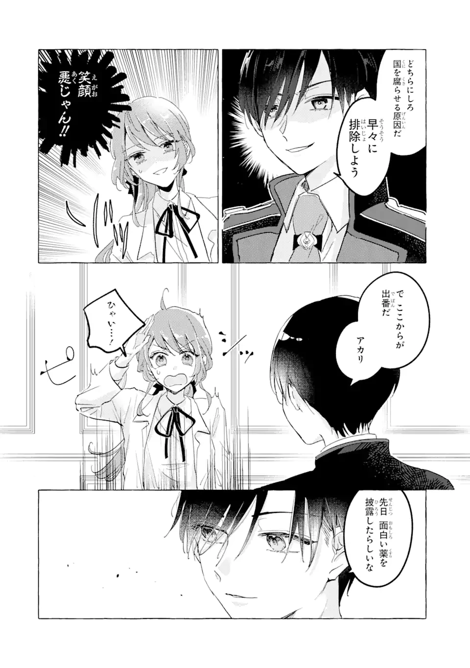 敗北聖女は、ひたむきに国を滅ぼします! 第4.1話 - 8