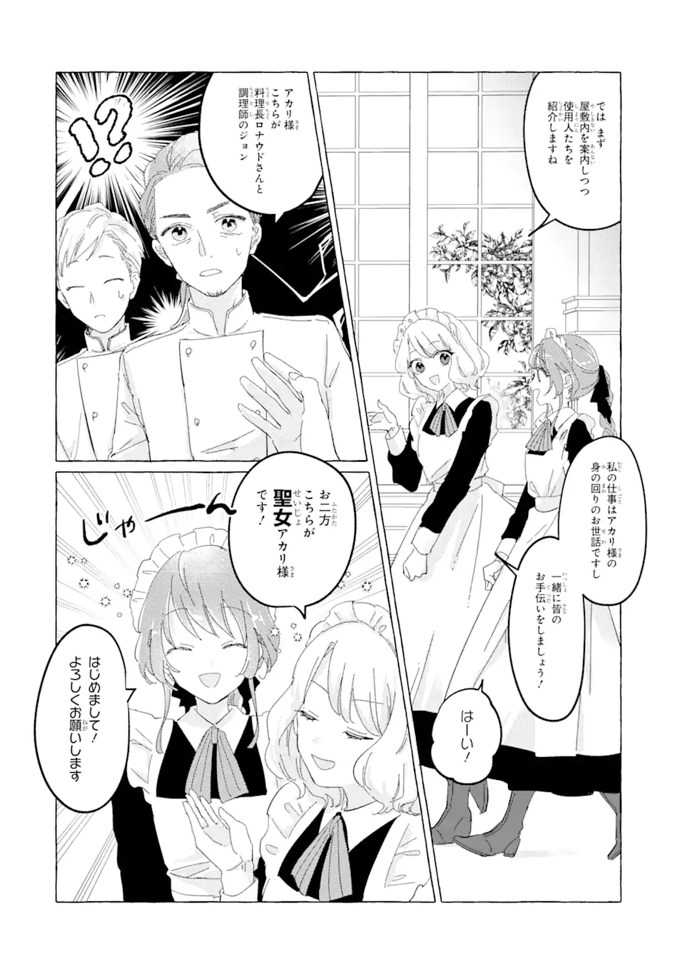 敗北聖女は、ひたむきに国を滅ぼします! 第3.1話 - 8