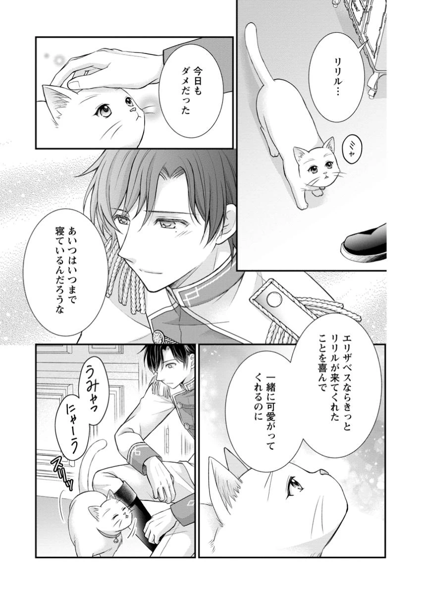 呪いで猫にされた悪女、王太子に拾われる。 第5.1話 - 7