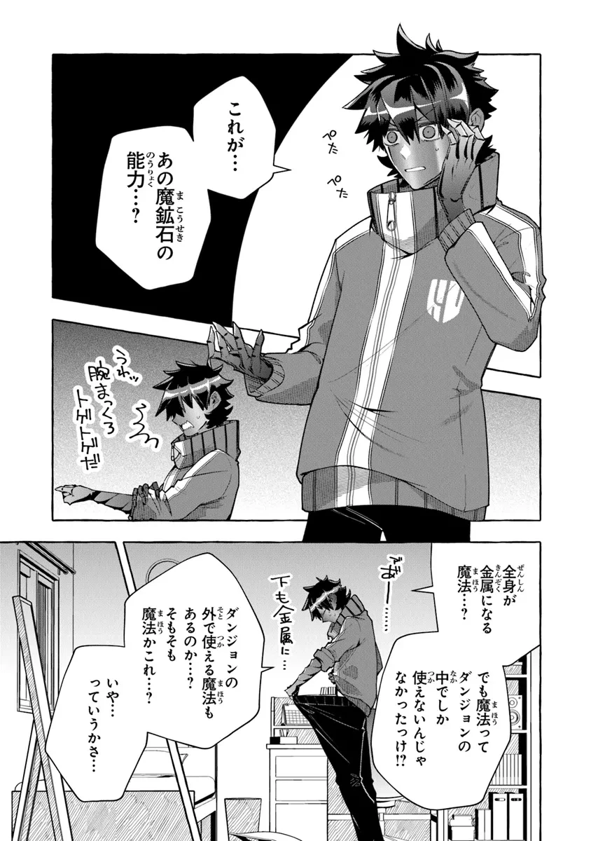 金属スライムを倒しまくった俺が【黒鋼の王】と呼ばれるまで ～家の庭で極小ダンジョンを見つけました～ 第5話 - 3