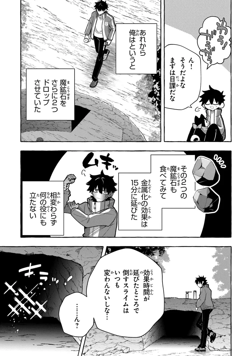 金属スライムを倒しまくった俺が【黒鋼の王】と呼ばれるまで ～家の庭で極小ダンジョンを見つけました～ 第6話 - 5