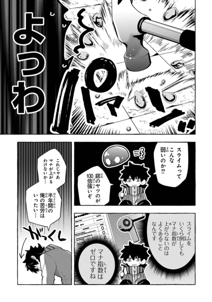 金属スライムを倒しまくった俺が【黒鋼の王】と呼ばれるまで ～家の庭で極小ダンジョンを見つけました～ 第4話 - 13