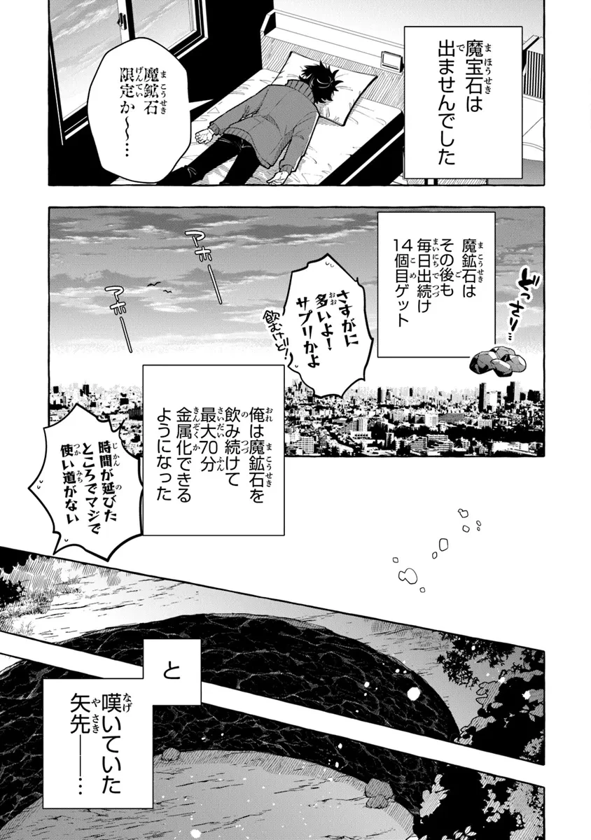 金属スライムを倒しまくった俺が【黒鋼の王】と呼ばれるまで ～家の庭で極小ダンジョンを見つけました～ 第6話 - 13