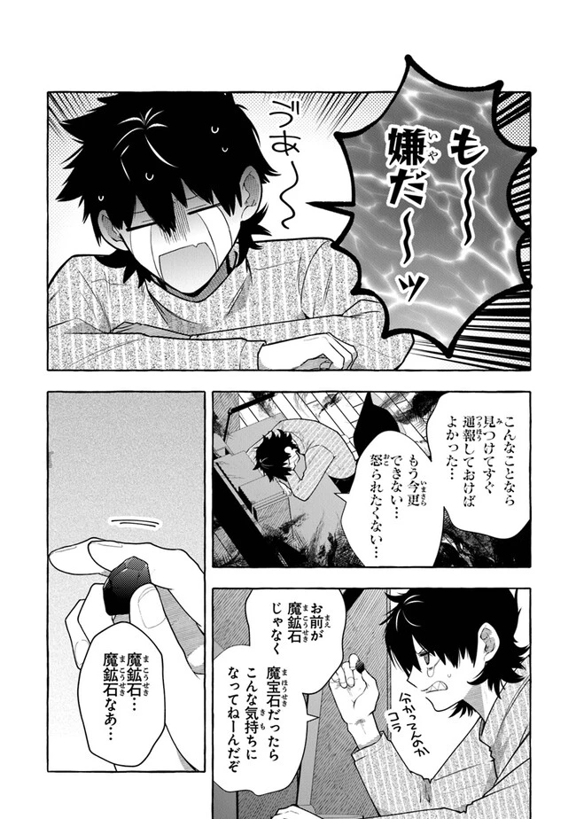 金属スライムを倒しまくった俺が【黒鋼の王】と呼ばれるまで ～家の庭で極小ダンジョンを見つけました～ 第3話 - 11