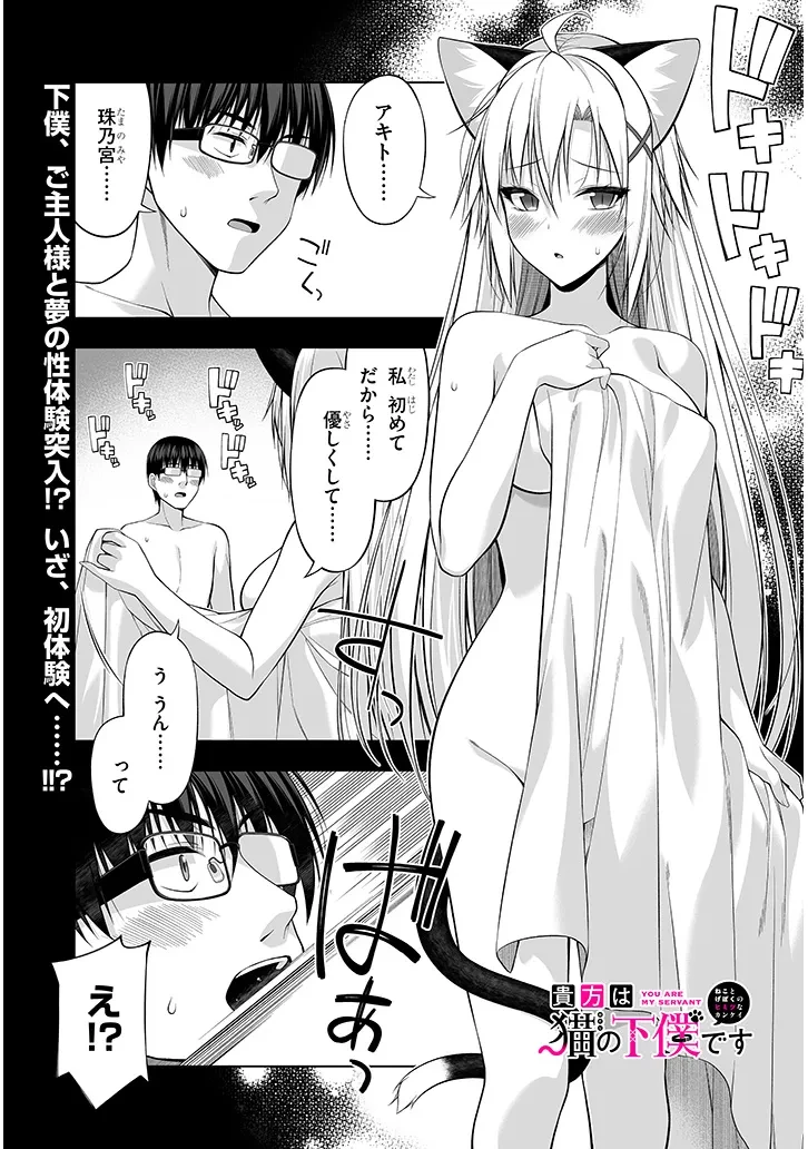 貴方は猫（わたし）の下僕です ～ねことげぼくのヒミツのカンケイ～ 第6.1話 - 1