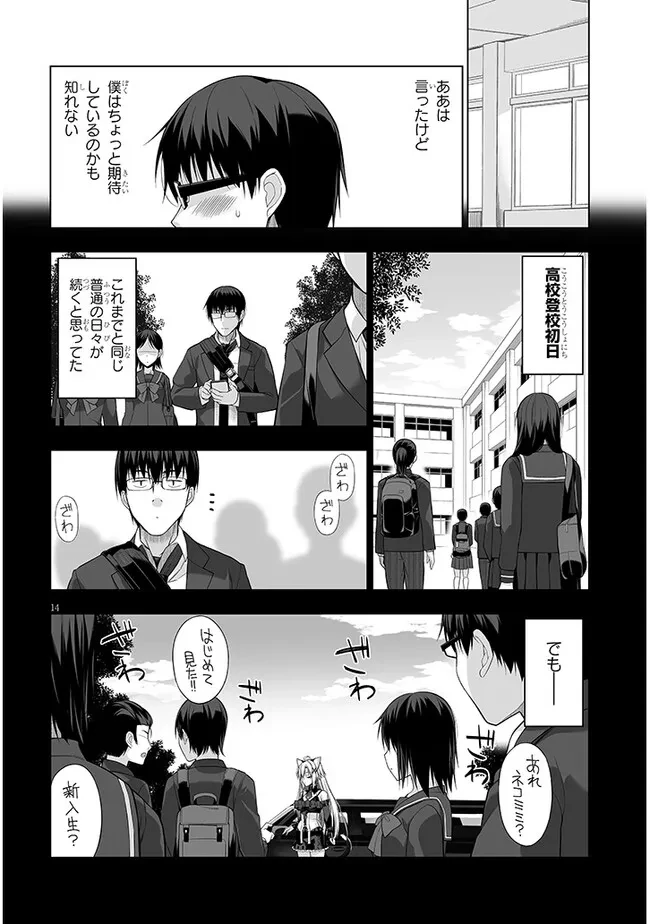 貴方は猫（わたし）の下僕です ～ねことげぼくのヒミツのカンケイ～ 第1話 - 14