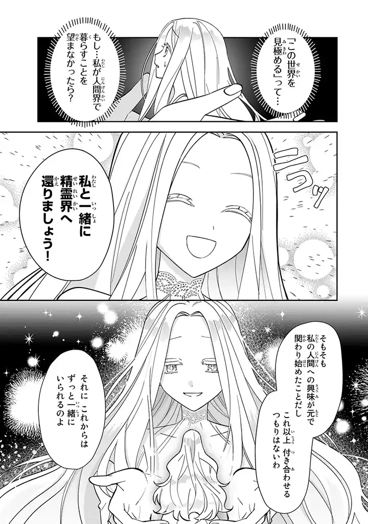 自由気ままな精霊姫 第1.4話 - 10