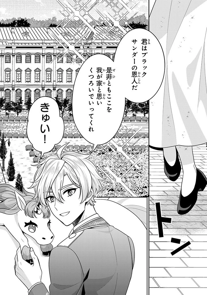 神獣騎士様の専属メイド 神獣騎士様の専属メイド 第4.3話 - 6