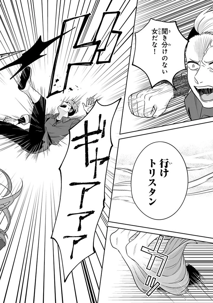 神獣騎士様の専属メイド 神獣騎士様の専属メイド 第3.4話 - 6