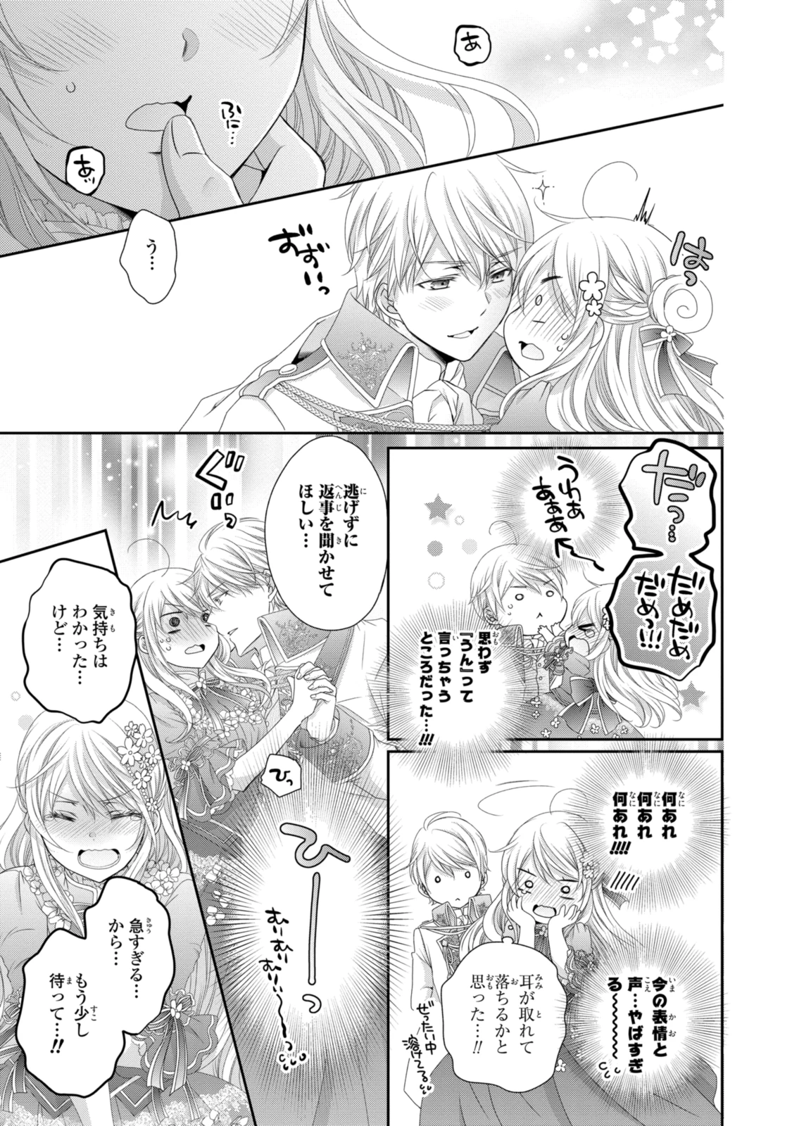王子様に溺愛されて困ってます～転生ヒロイン、乙女ゲーム奮闘記～ 第20.2話 - 11