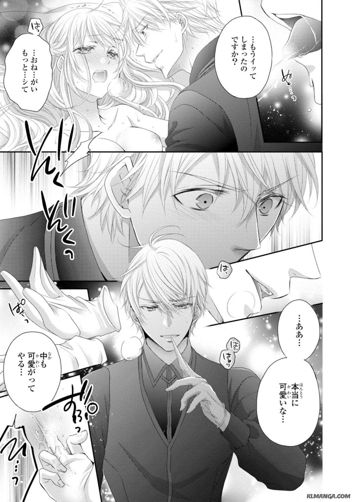 王子様に溺愛されて困ってます～転生ヒロイン、乙女ゲーム奮闘記～ 第11.3話 - 3