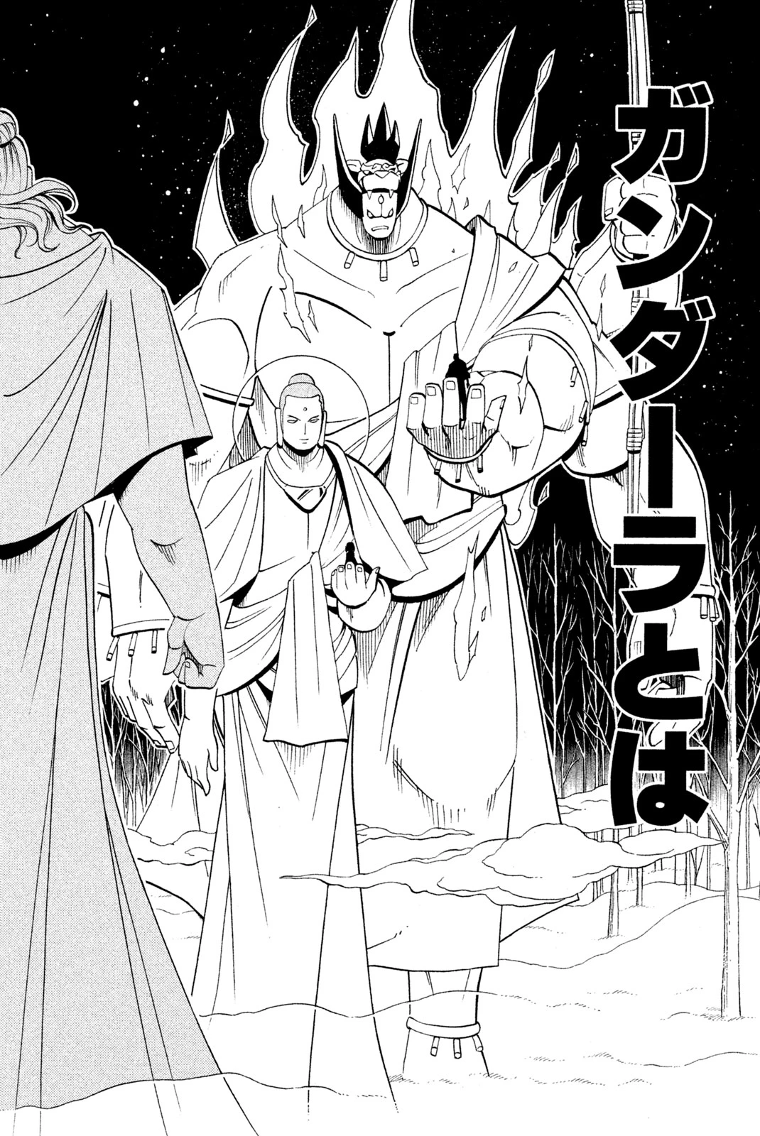 El rey shaman Król Szamanów Shaman King (Vua pháp thuật) シャーマンキング 第190話 - 6