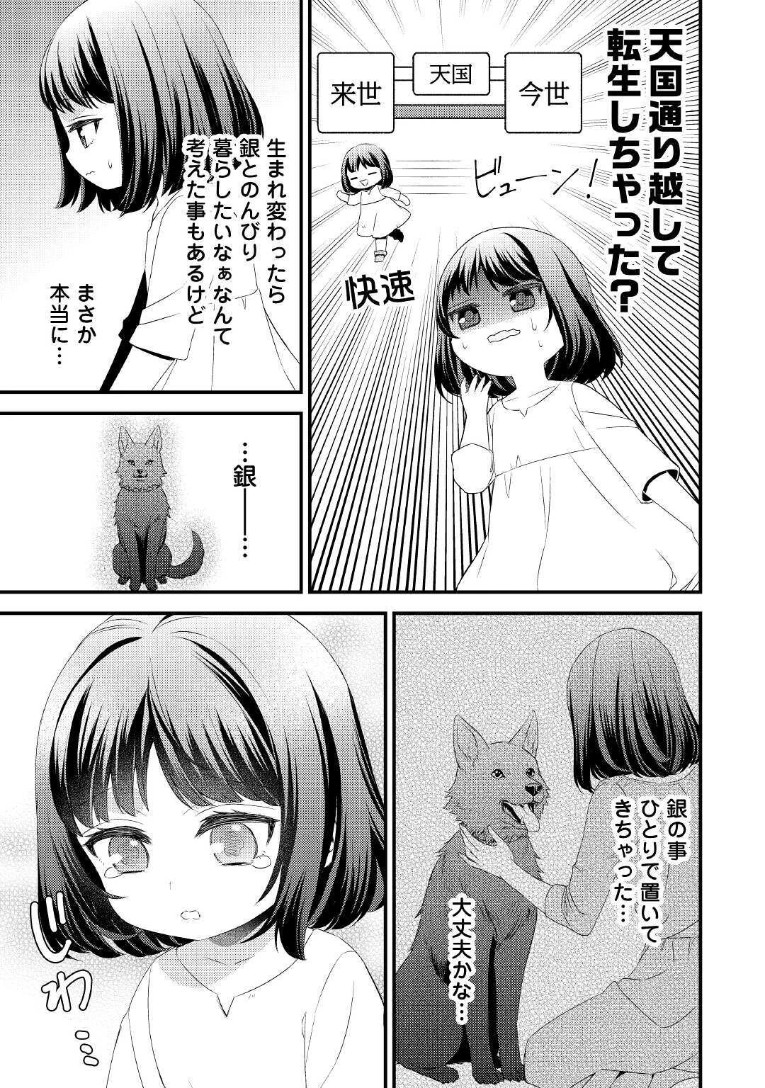 ほっといて下さい　―従魔とチートライフ楽しみたい！― 第1話 - 5