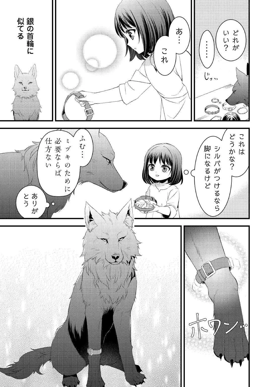 ほっといて下さい　―従魔とチートライフ楽しみたい！― 第2話 - 17