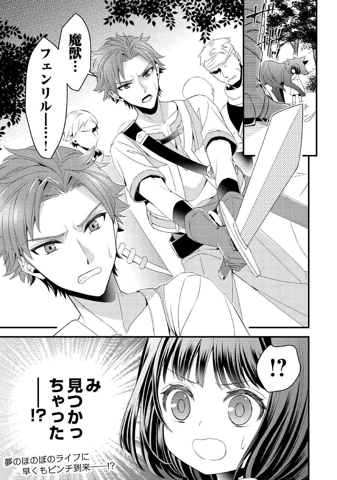 ほっといて下さい　―従魔とチートライフ楽しみたい！― 第1話 - 31