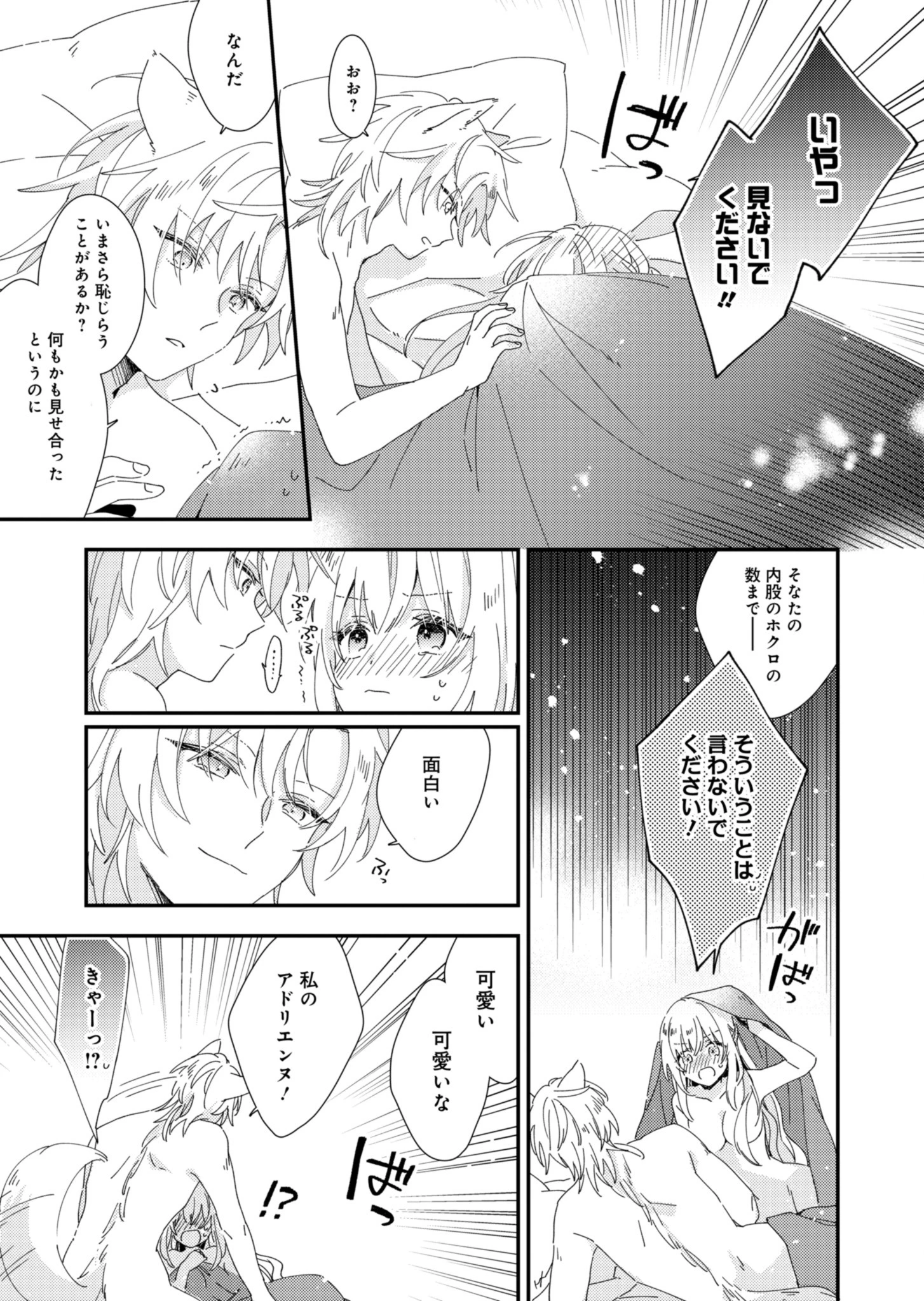 異世界で狼皇帝に蜜月を迫られています 第2話 - 13
