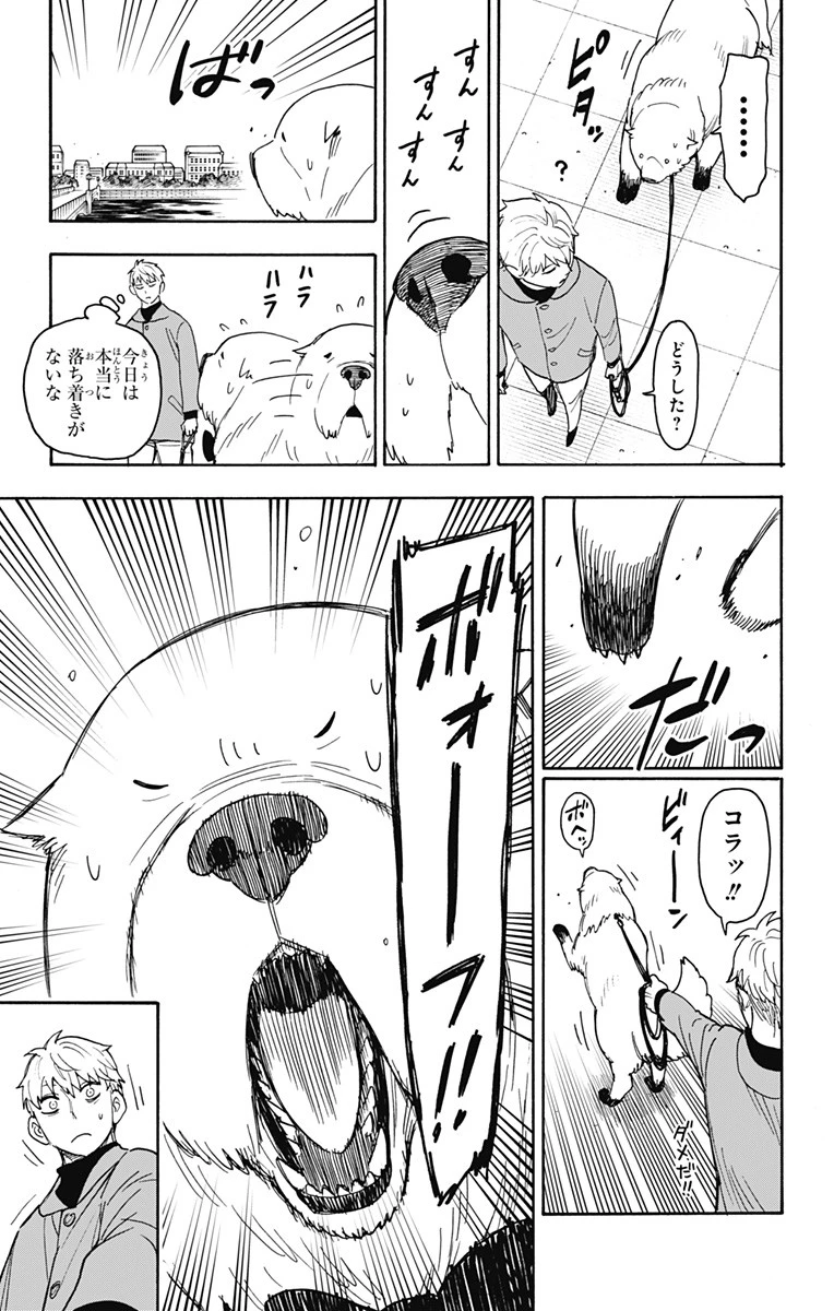 Spy X Family 第58話 - 13