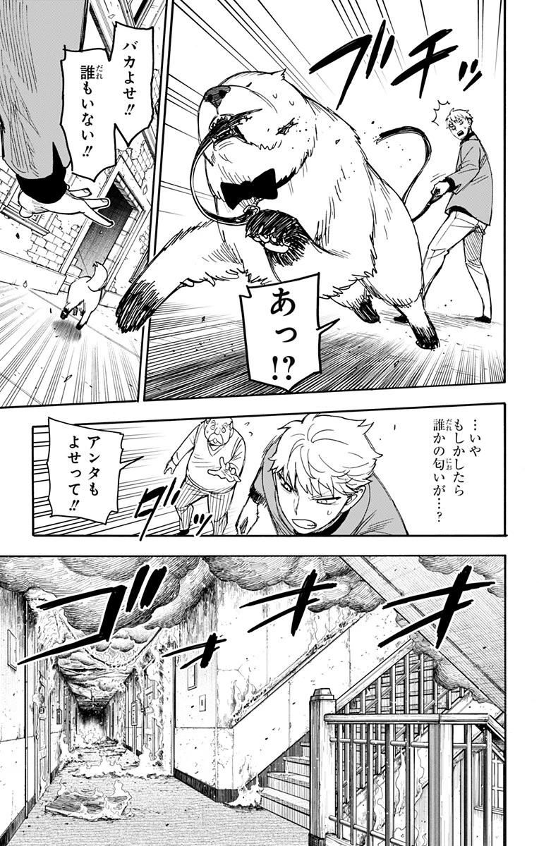 Spy X Family 第58話 - 15