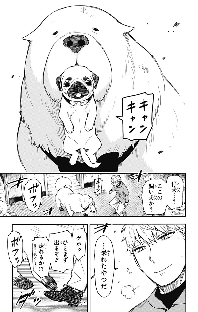 Spy X Family 第58話 - 17