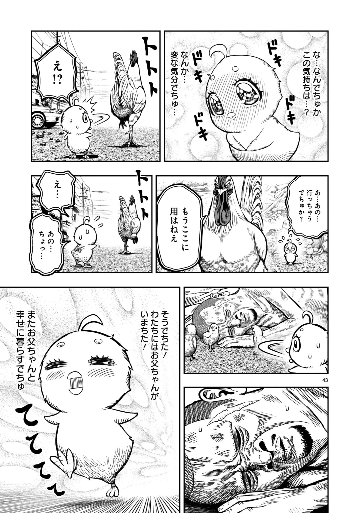 ニワトリ・ファイター 第5話 - 43