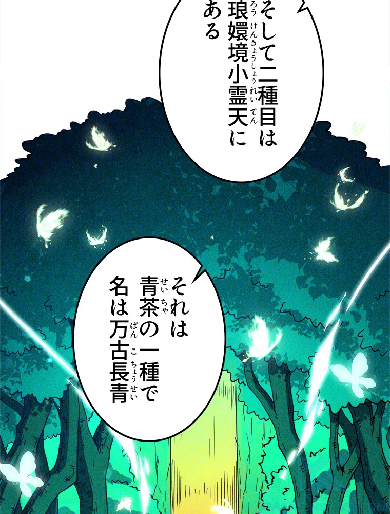 二度目の人生 俺は至尊になる 第203話 - 16