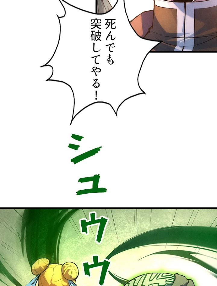 二度目の人生 俺は至尊になる 第43話 - 41