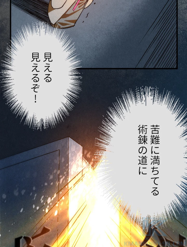 二度目の人生 俺は至尊になる 第39話 - 49