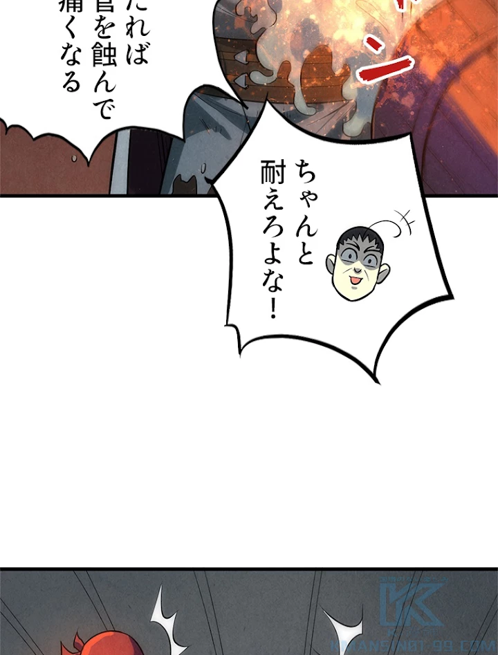 二度目の人生 俺は至尊になる 第31話 - 46