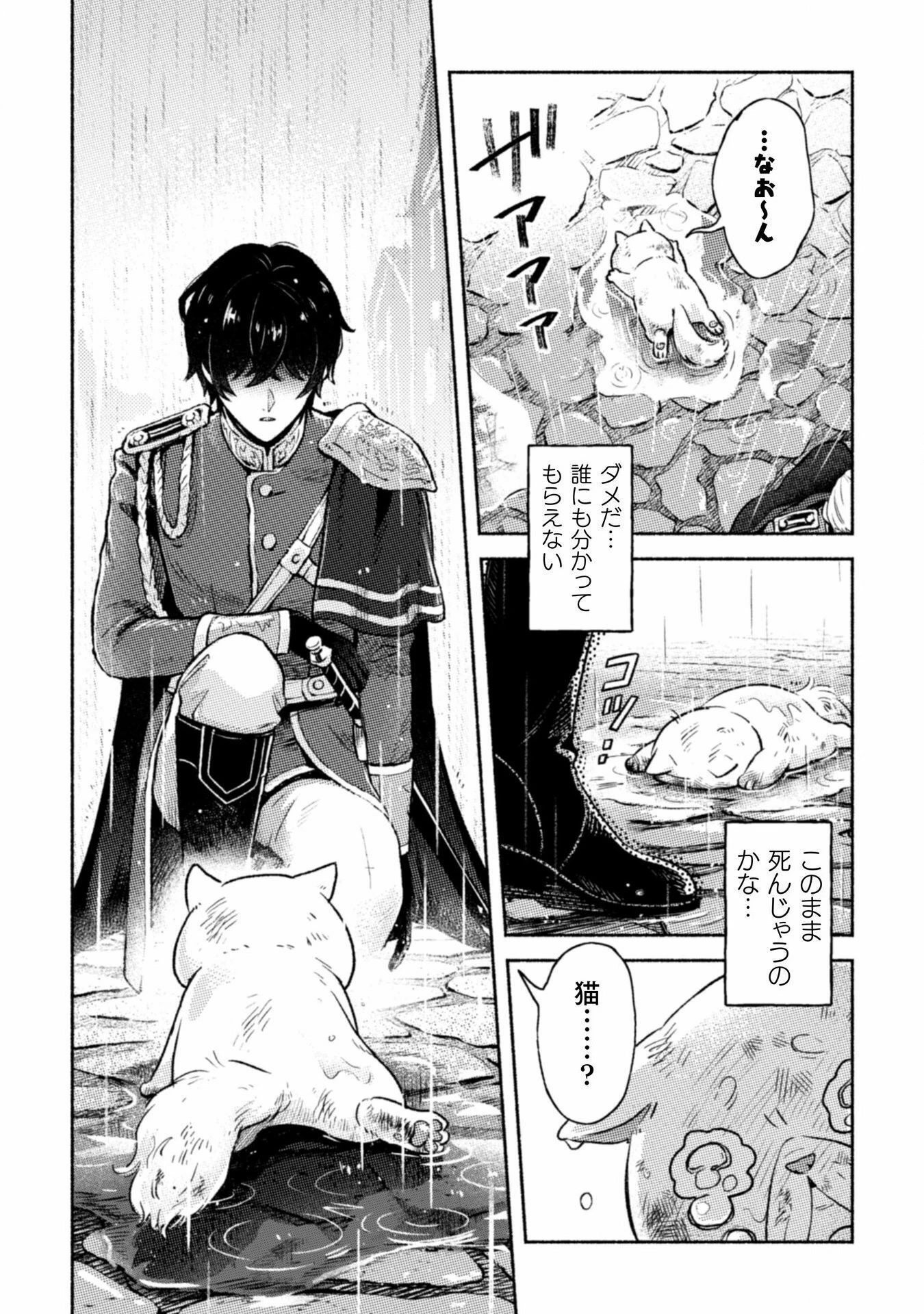 根暗騎士による溺愛満喫中のブサ猫、実は聖女です! 第1話 - 8