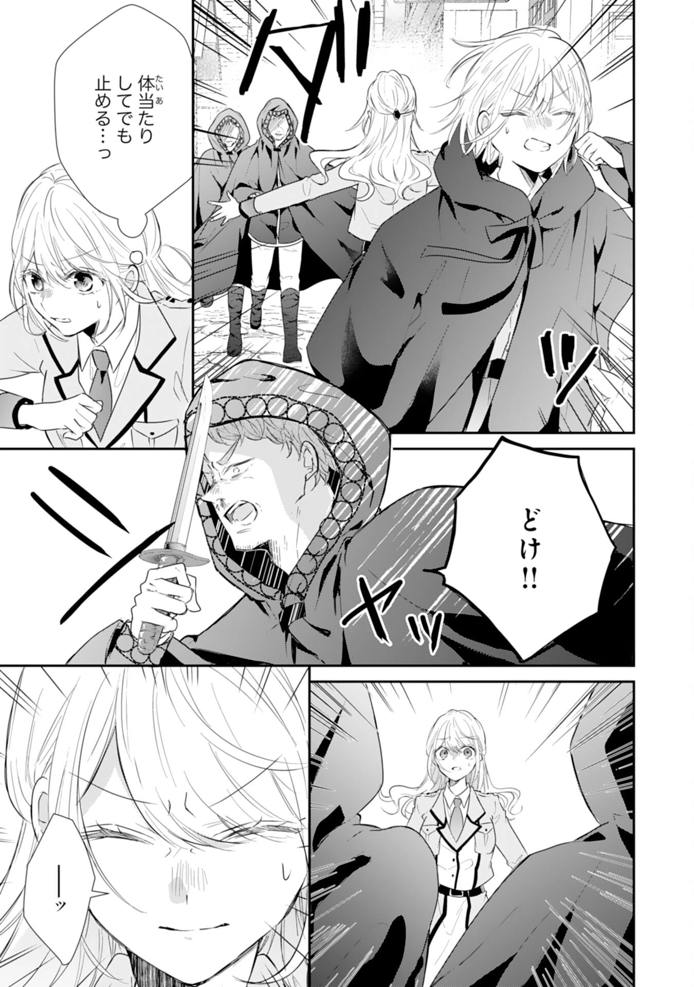 平凡な私の獣騎士団もふもふライフ 第30話 - 25