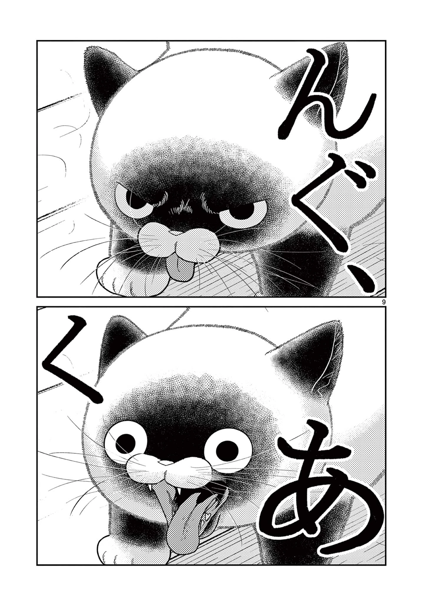 オヤジとにゃん吉 第34話 - 9