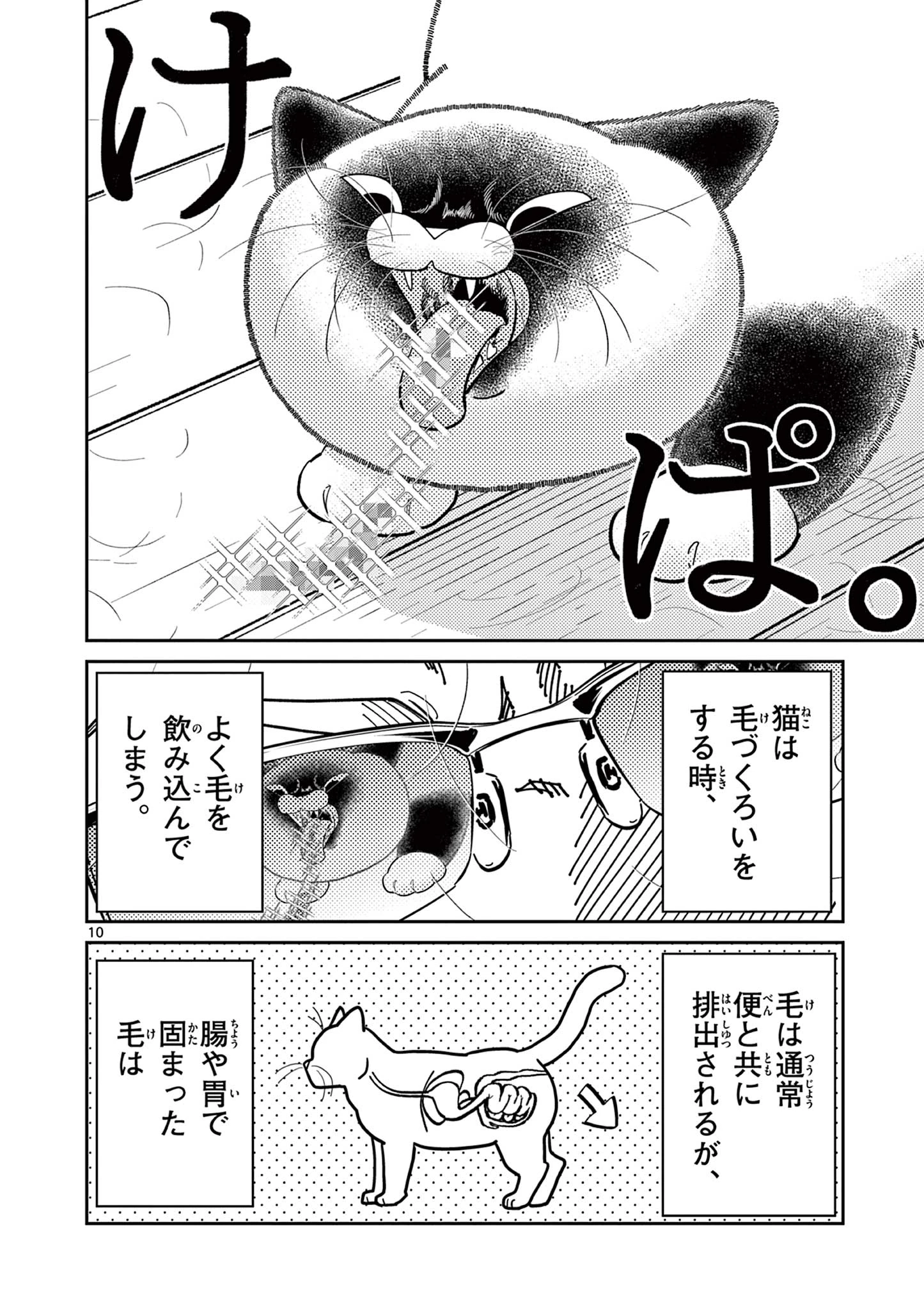 オヤジとにゃん吉 第34話 - 10