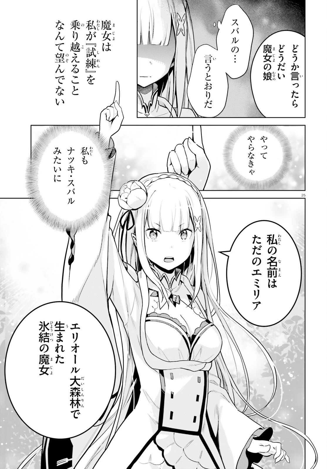 Reゼロから始める異世界生活 第四章 聖域と強欲の魔女 第50話 - 25