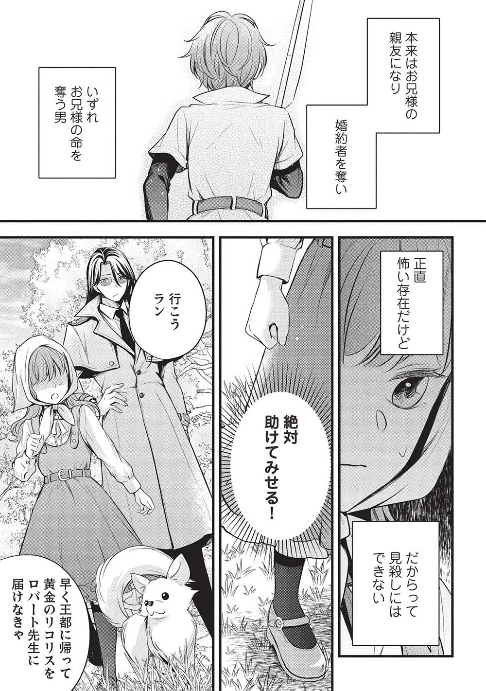 グランアヴェール～お守りの魔導師はラスボスお兄様を救いたい～ 第17話 - 13