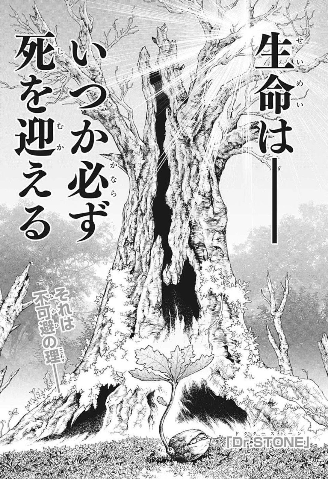ドクターストーン 第230話 - 1