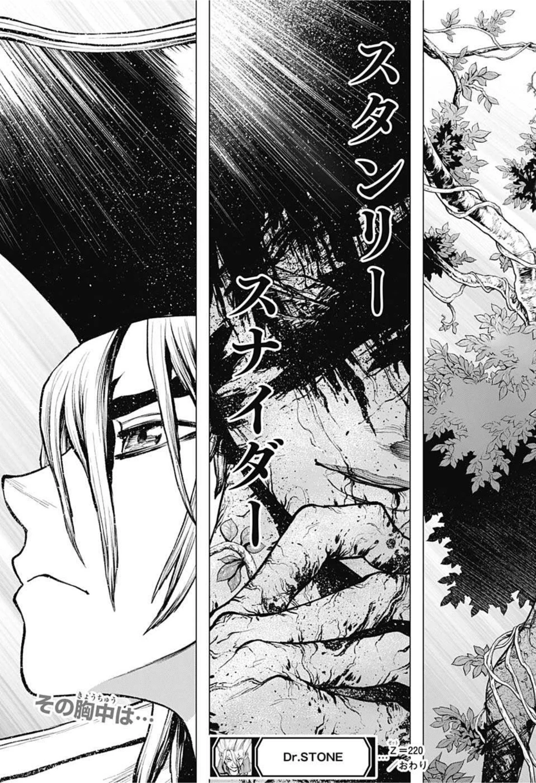 ドクターストーン 第220話 - 19