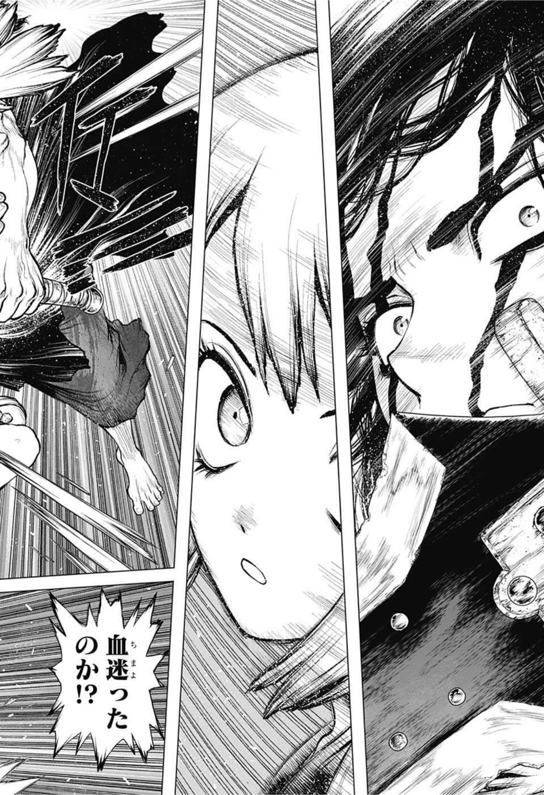 ドクターストーン 第219話 - 14