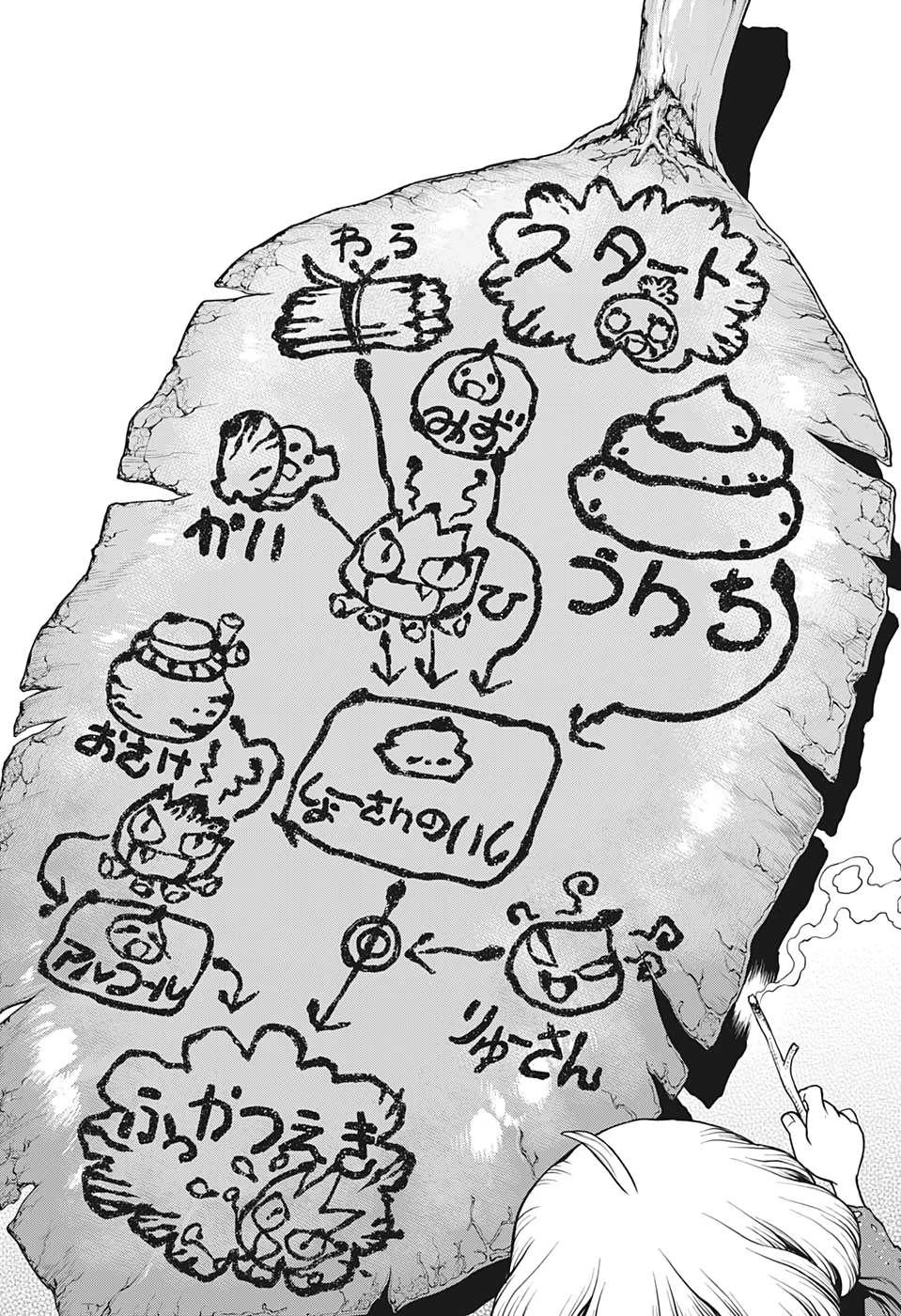 ドクターストーン 第196話 - 12