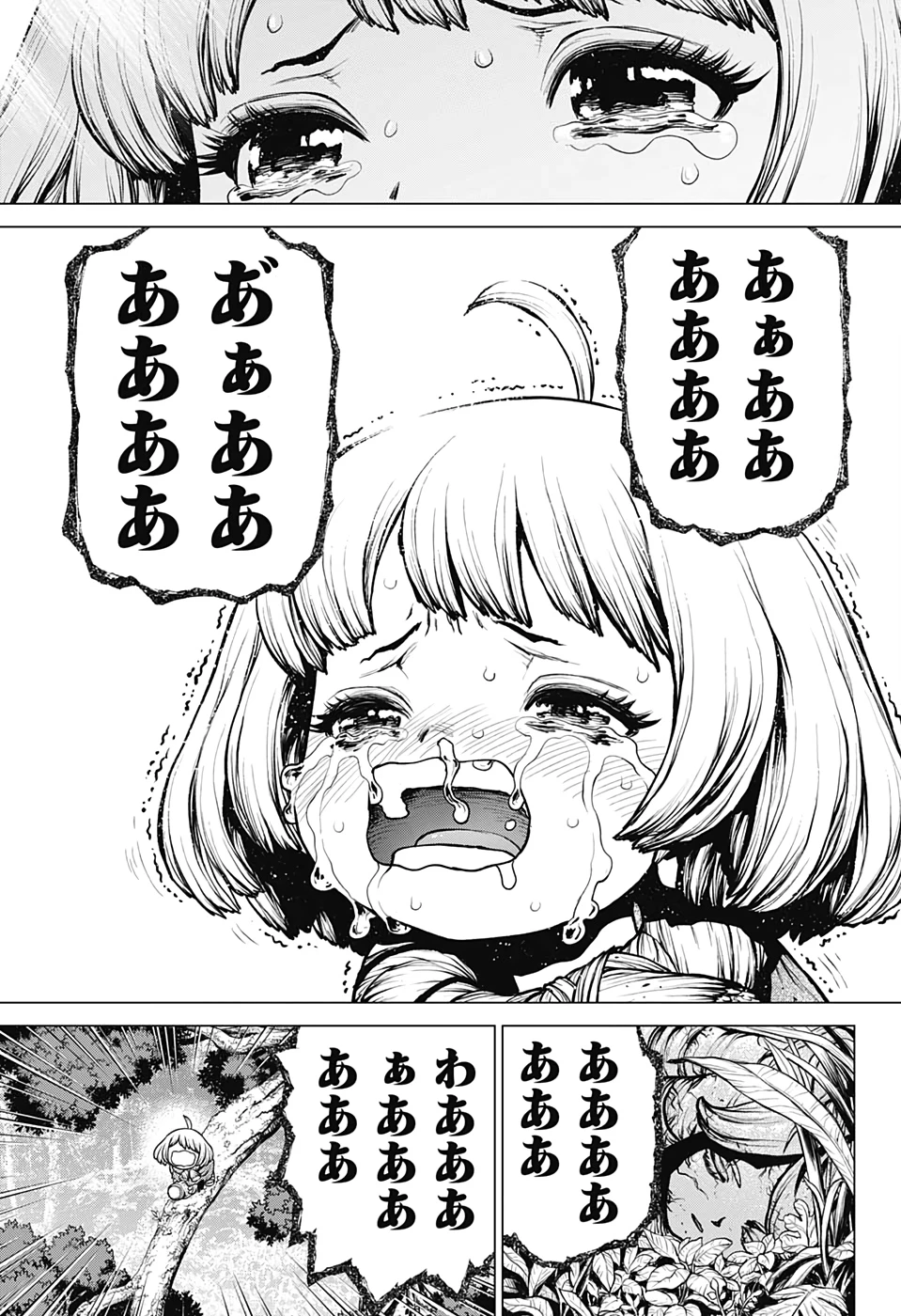 ドクターストーン 第194話 - 13