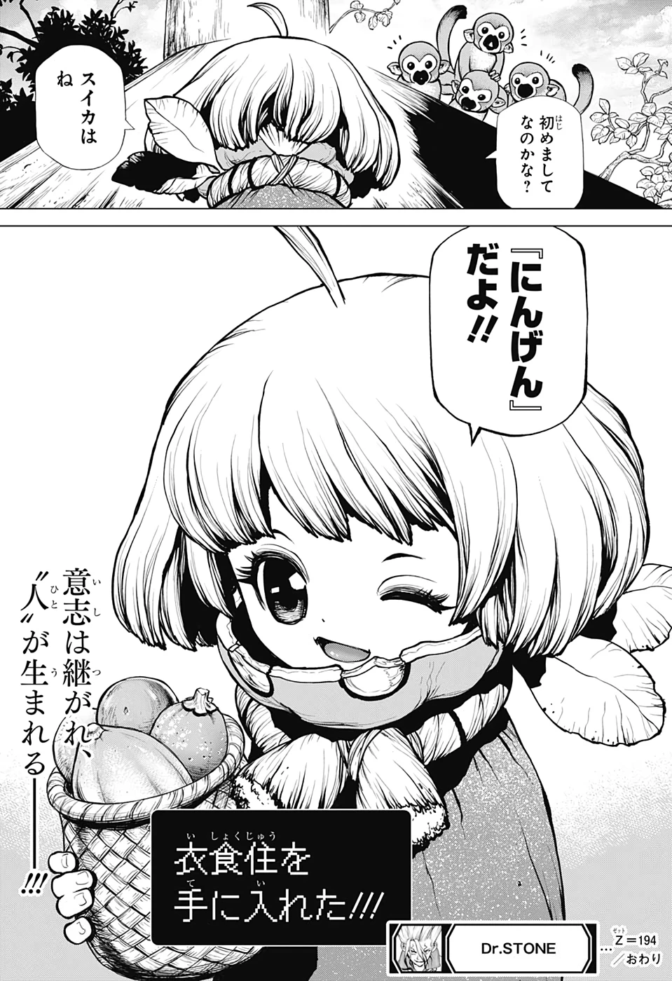 ドクターストーン 第194話 - 19