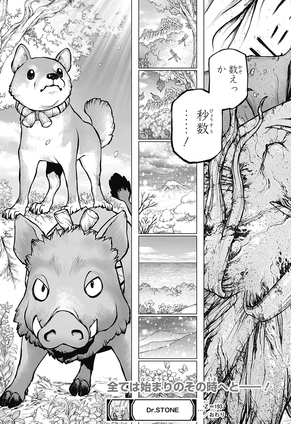 ドクターストーン 第193話 - 19