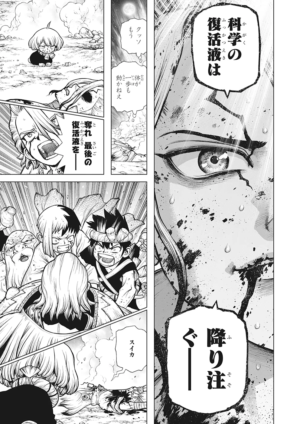 ドクターストーン 第192話 - 17