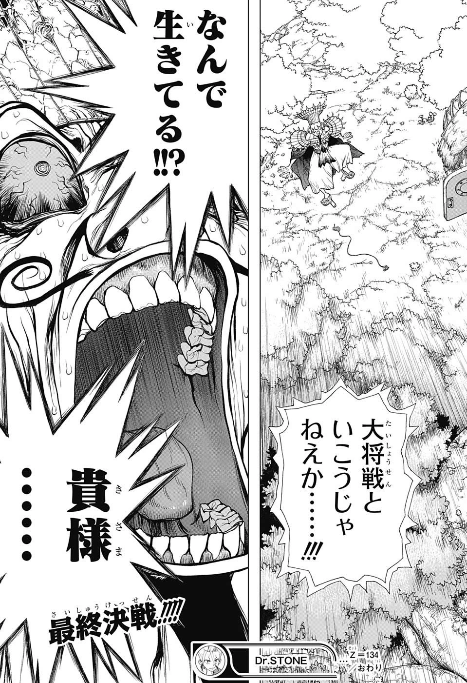 ドクターストーン 第134話 - 19