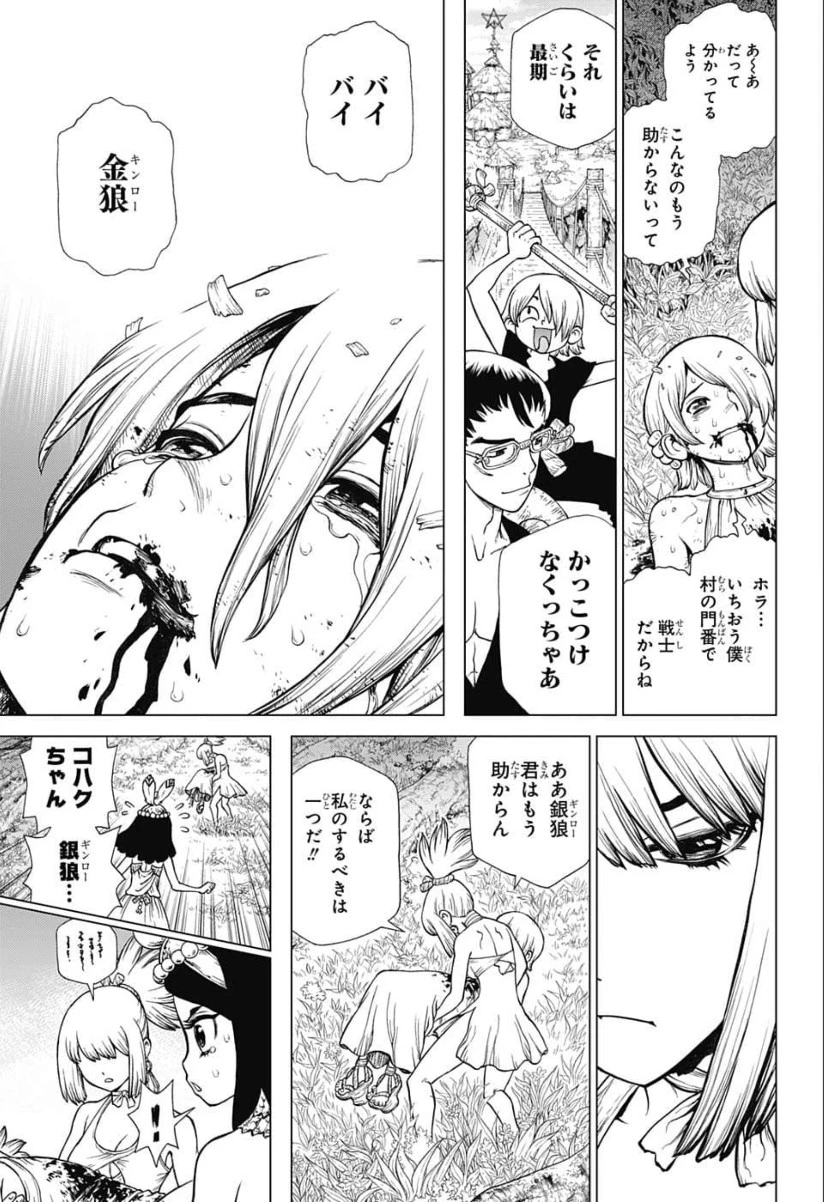 ドクターストーン 第121話 - 11