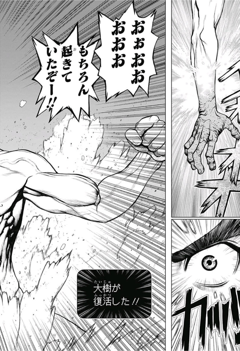 ドクターストーン 第118話 - 12