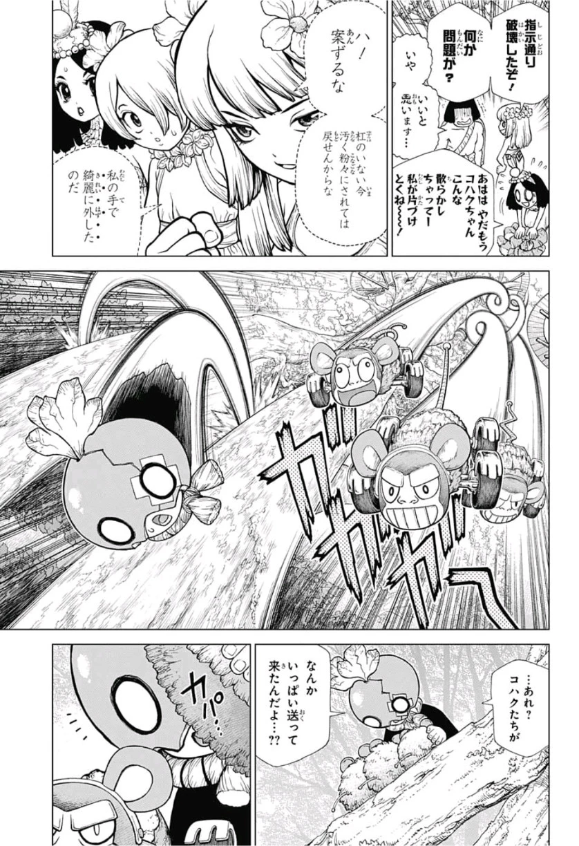 ドクターストーン 第116話 - 13