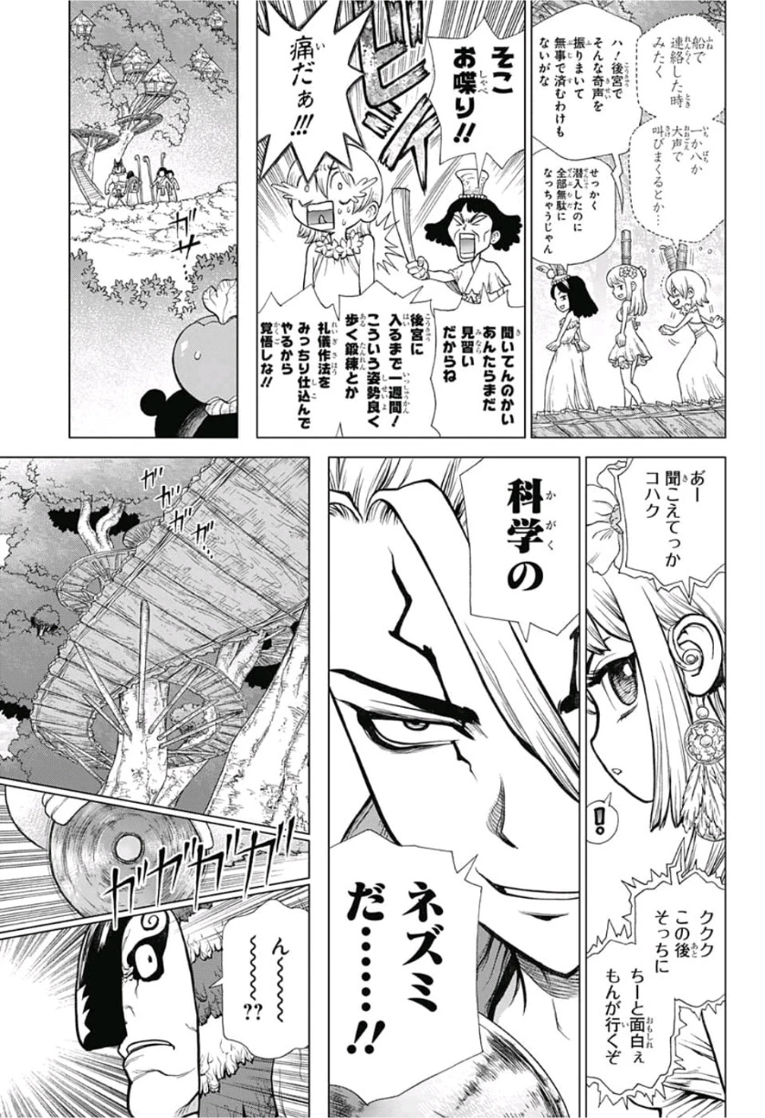 ドクターストーン 第113話 - 3