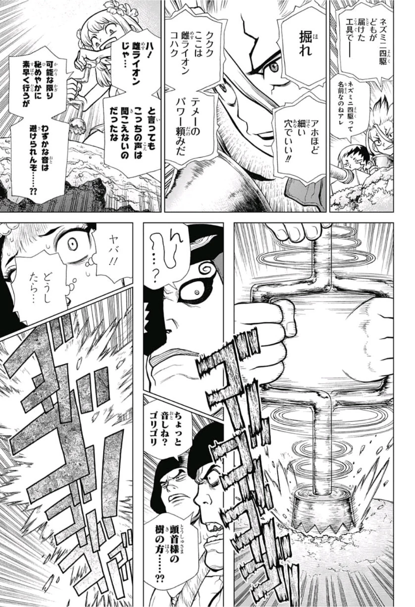 ドクターストーン 第114話 - 11
