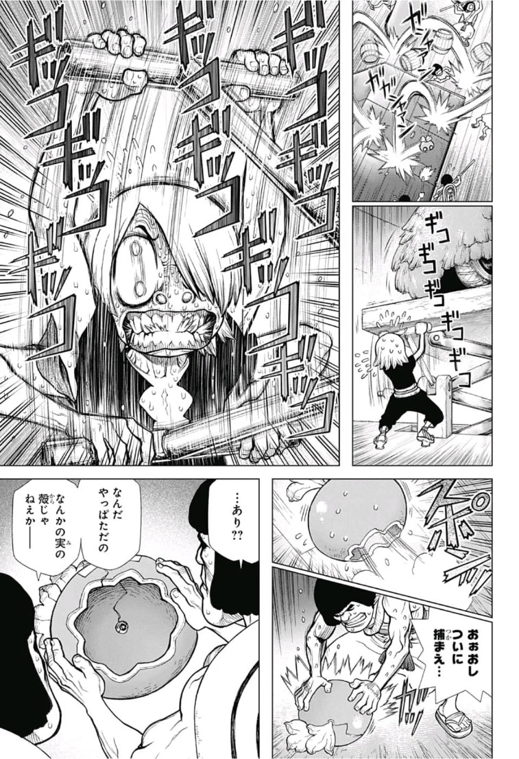 ドクターストーン 第109話 - 11