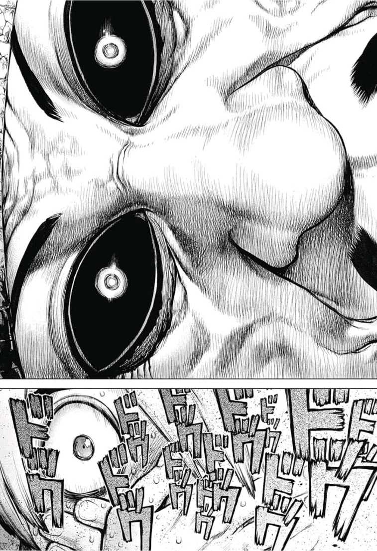 ドクターストーン 第108話 - 16